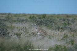 fotografie-19