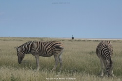 fotografie-116