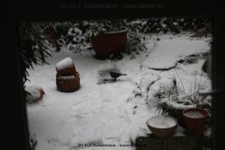 fotografie-14