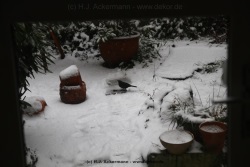 fotografie-15