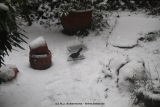 fotografie-18