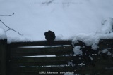 fotografie-19