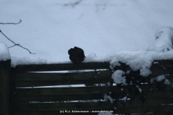 fotografie-19