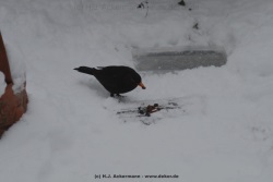 fotografie-20