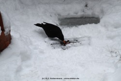 fotografie-21