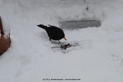 fotografie-22