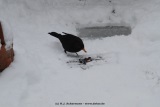 fotografie-22