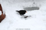 fotografie-23