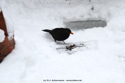 fotografie-23