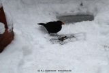 fotografie-24