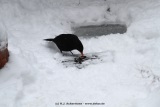 fotografie-25