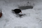 fotografie-26