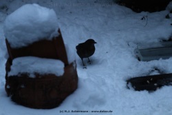 fotografie-28