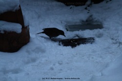 fotografie-29