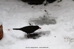 fotografie-31