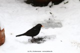 fotografie-32