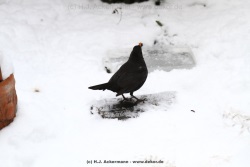 fotografie-33