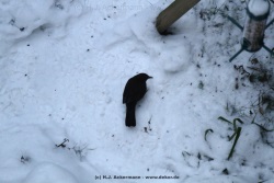 fotografie-35