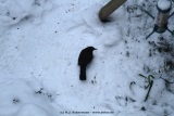 fotografie-35