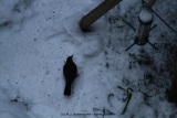 fotografie-37