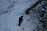 fotografie-38