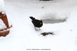 fotografie-40