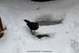 fotografie-41