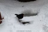 fotografie-42