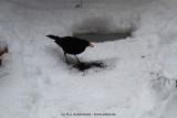 fotografie-44