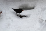 fotografie-46