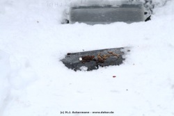 fotografie-50