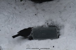 fotografie-54