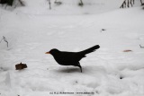 fotografie-60