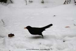 fotografie-60