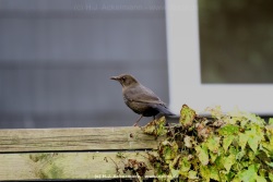 fotografie-6