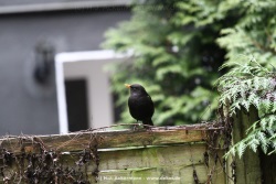 fotografie-12