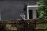 fotografie-16