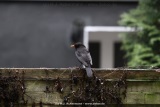 fotografie-18