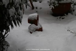 fotografie-1