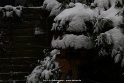 fotografie-2