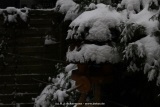 fotografie-2