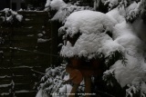 fotografie-10