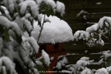 fotografie-12