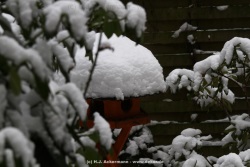 fotografie-12