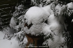 fotografie-15
