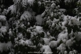 fotografie-18
