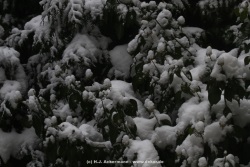 fotografie-18