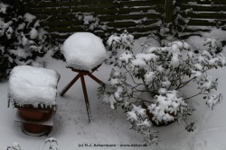 fotografie-21
