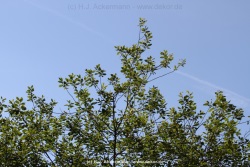 fotografie-1