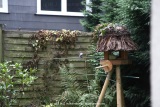 fotografie-5